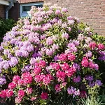 Haus Szameit, Whg 4 * Sylt